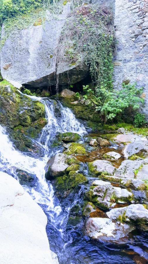 La Turr De Mezz Ξενοδοχείο Nesso Εξωτερικό φωτογραφία